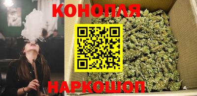 бошки Ливны